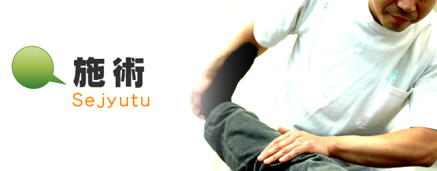 sejyutu.jpg